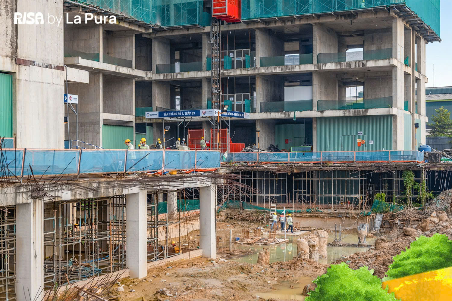 z7122815825283_436e2a066fbf3510f9a3847c74a592ff