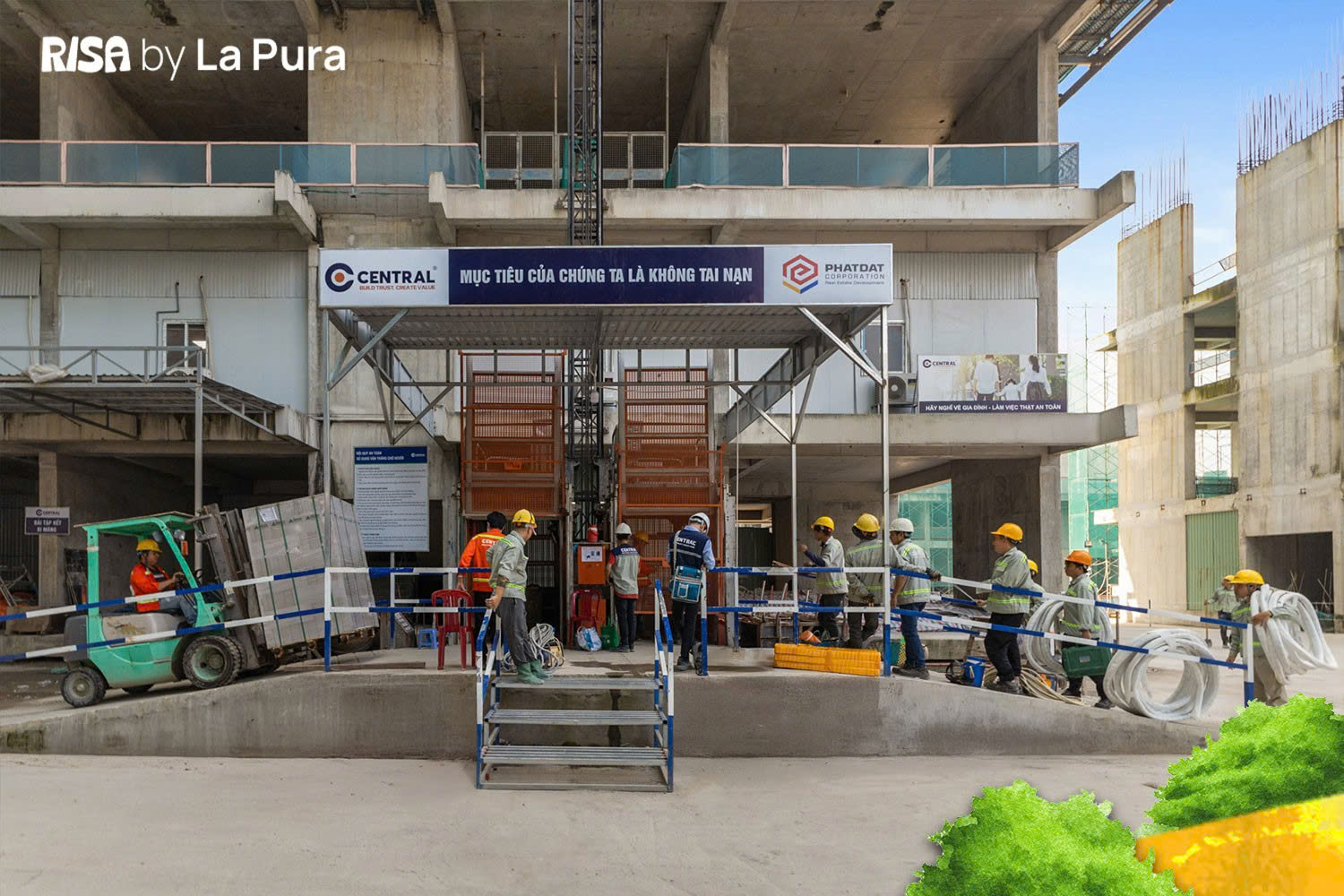 z7122815825285_a3834afdf621bf22520db91592f848ca