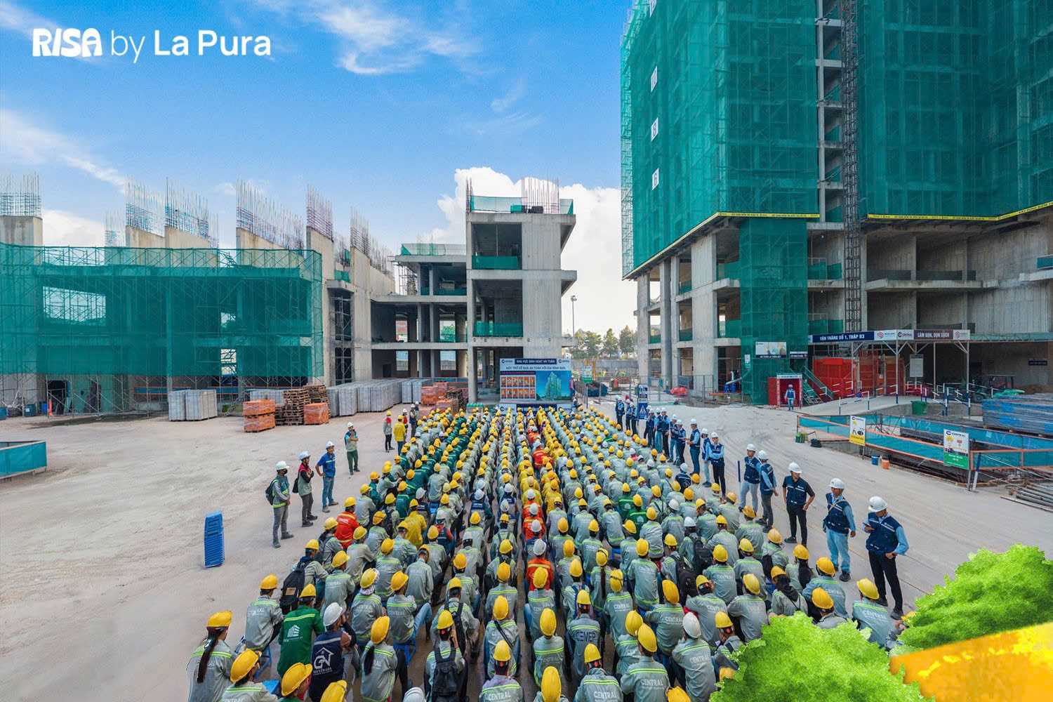 z7122815825286_f2fd567f68c8caed5e44186ba57ad73e